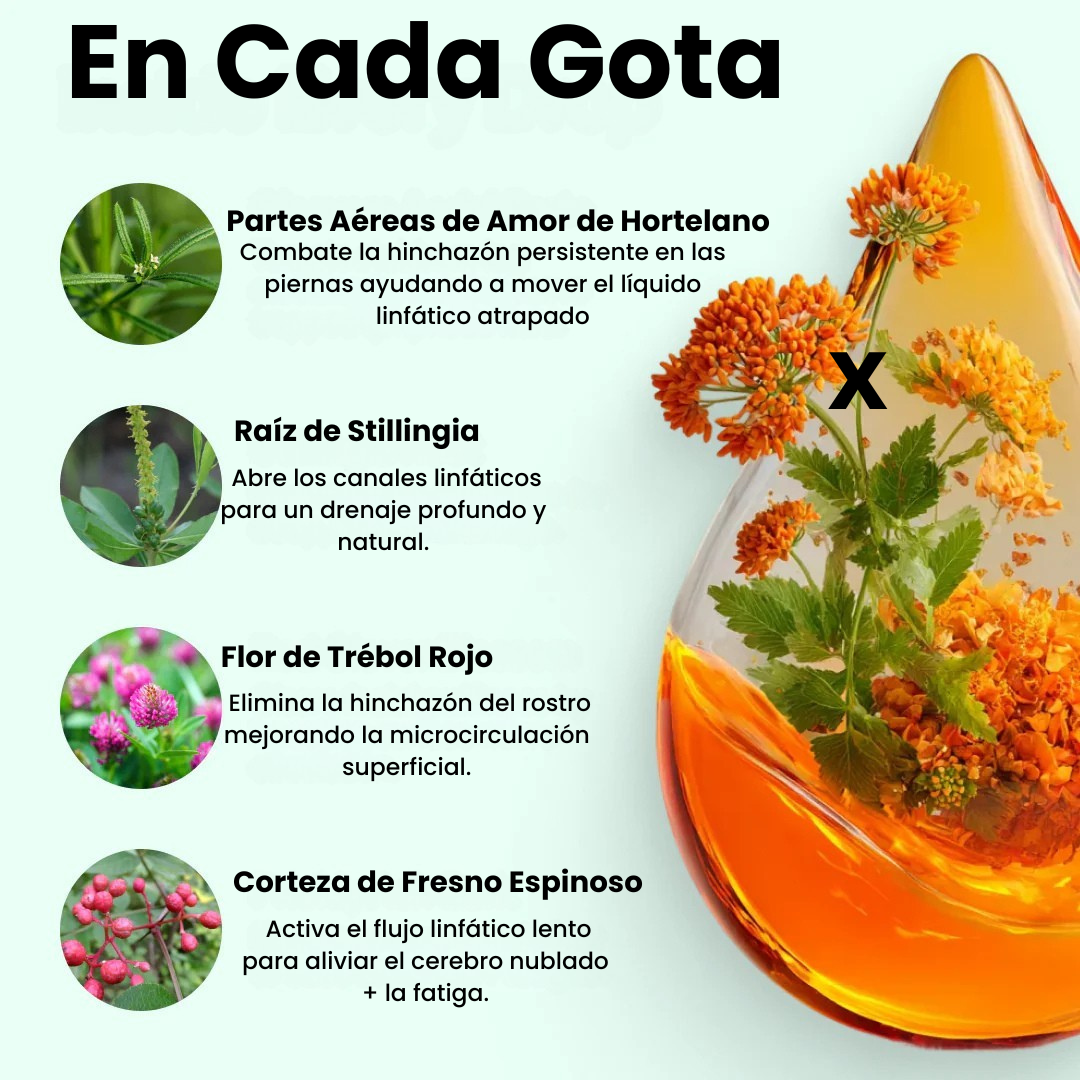 Sensación de ligereza y menos hinchazón en 16 días o menos.