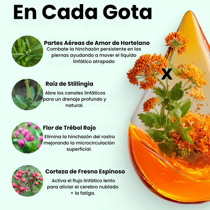 Sensación de ligereza y menos hinchazón en 16 días o menos.